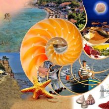 The largest Mussel Festival in the world