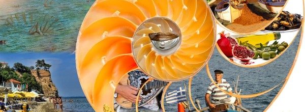 The largest Mussel Festival in the world