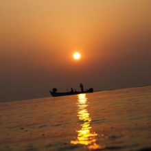 How you can make tonic your body and soul?