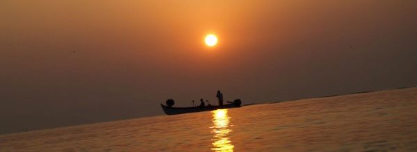 How you can make tonic your body and soul?